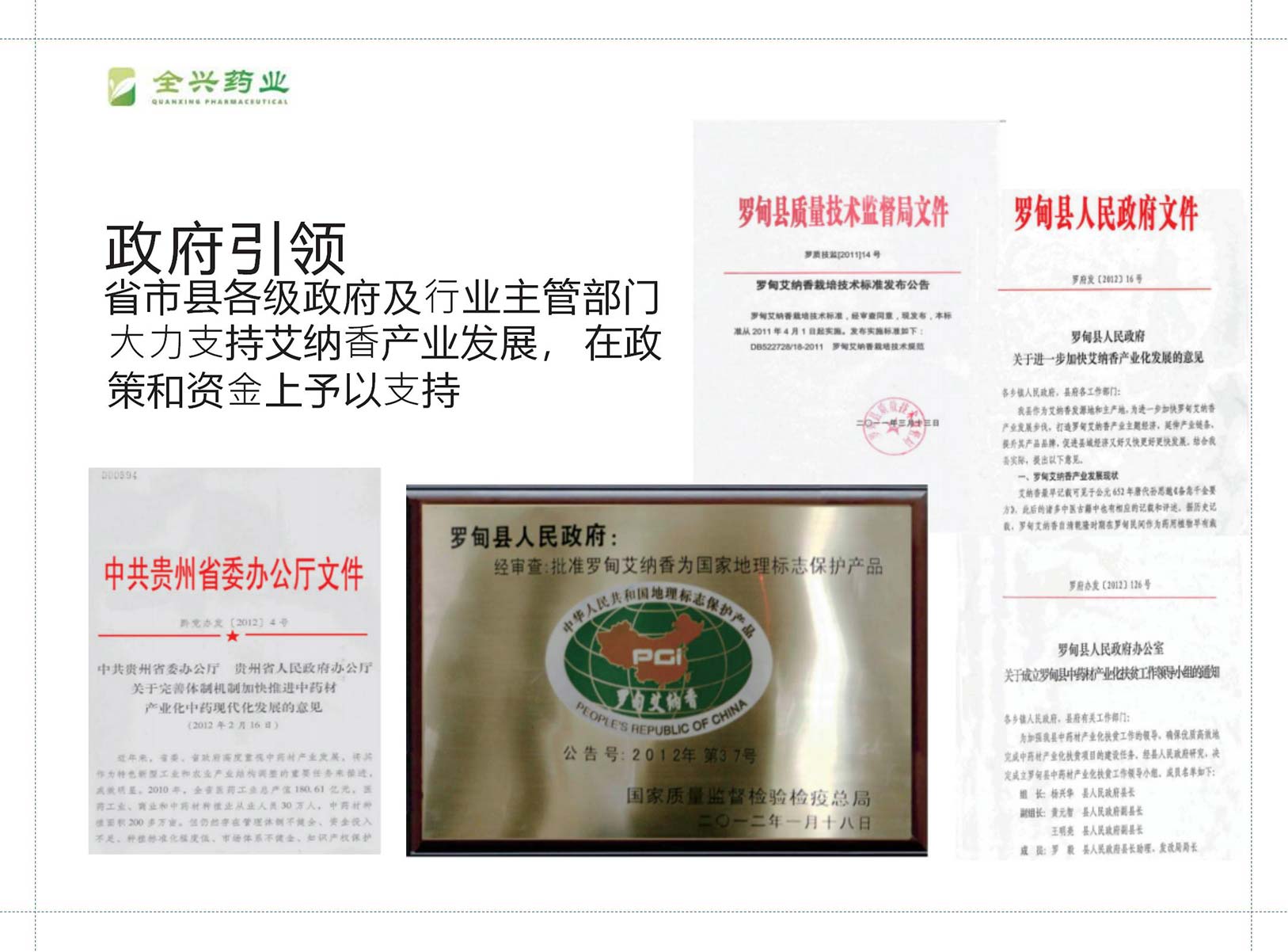 全兴药业艾纳香-12